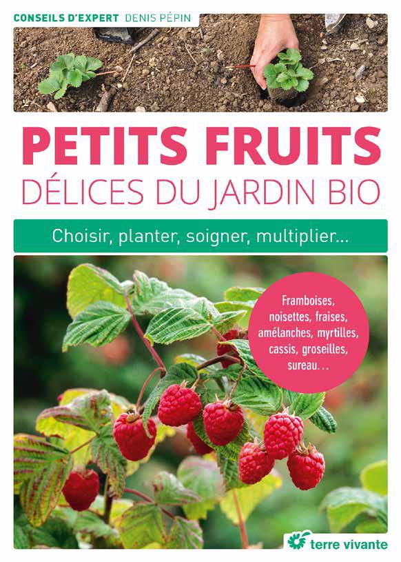 PETITS FRUITS, DELICES DU JARDIN BIO - CHOISIR, PLANTER, SOIGNER, TAILLER...