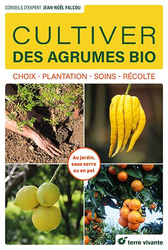 CULTIVER DES AGRUMES BIO - CHOIX - PLANTATION - SOINS - RECOLTE