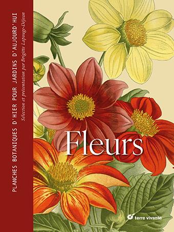 couverture du livre FLEURS - PLANCHES BOTANIQUES D'HIER POUR JARDINS D'AUJOURD'HUI