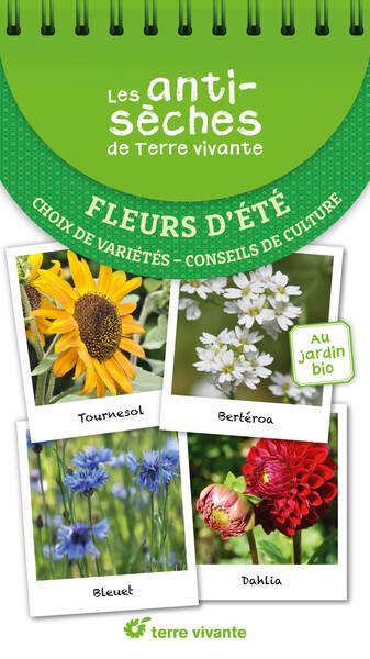 LES ANTISECHES DE TERRE VIVANTE : FLEURS D'ETE - CHOIX DE VARIETES CONSEILS DE CULTURE