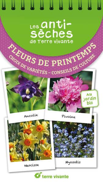 LES ANTISECHES DE TERRE VIVANTE : FLEURS DE PRINTEMPS - CHOIX DE VARIETES CONSEILS DE CULTURE