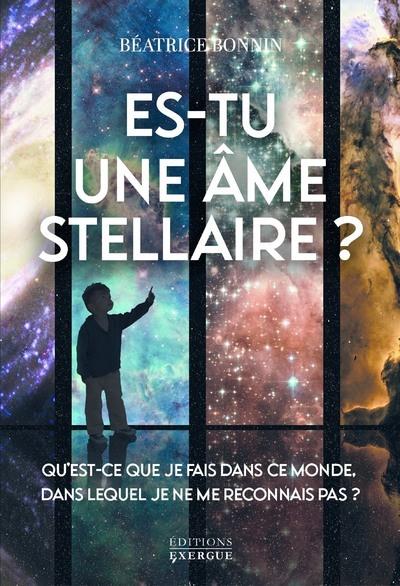 ES-TU UNE AME STELLAIRE? - QU'EST-CE QUE JE FAIS DANS CE MONDE, DANS LEQUEL JE NE ME RECONNAIS PAS ?