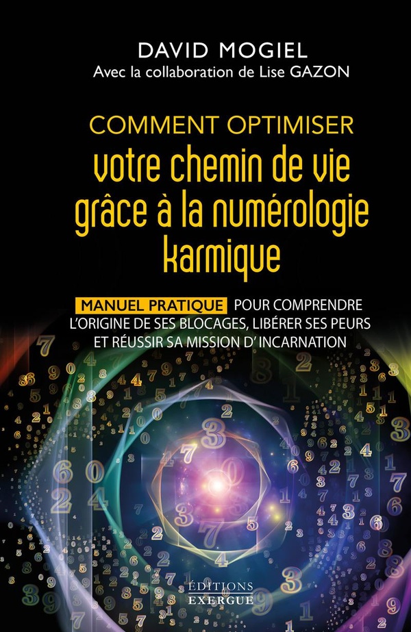 COMMENT OPTIMISER VOTRE CHEMIN DE VIE GRACE A LA NUMEROLOGIE KARMIQUE - MANUEL PRATIQUE POUR COMPREN