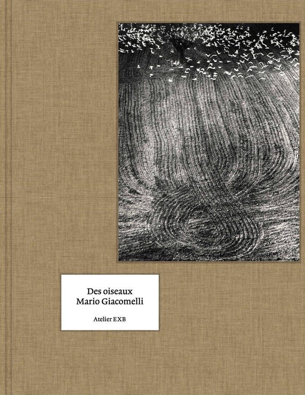 DES OISEAUX - (VERSION ANGLAISE)