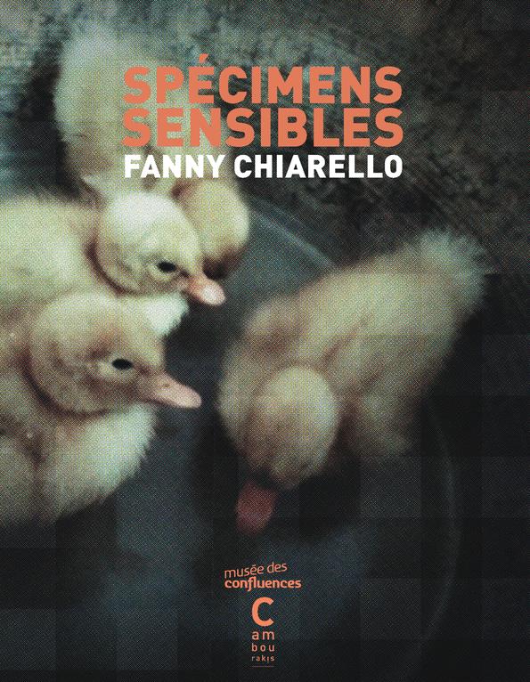 SPECIMENS SENSIBLES