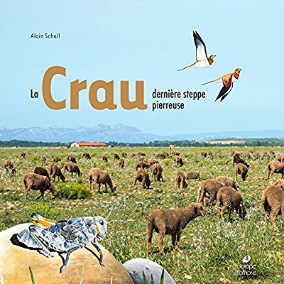 LA CRAU, DERNIERE STEPPE PIERREUSE