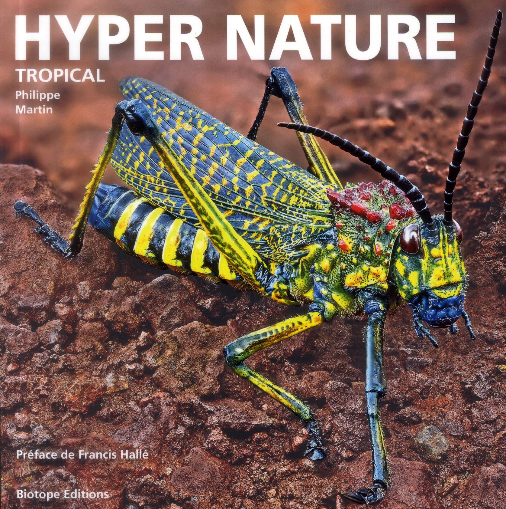 HYPER NATURE TROPICAL