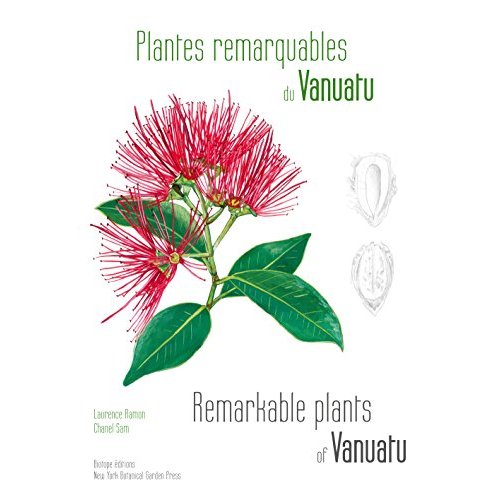 PLANTES REMARQUABLES DU VANUATU MELANESIE OCEANIE