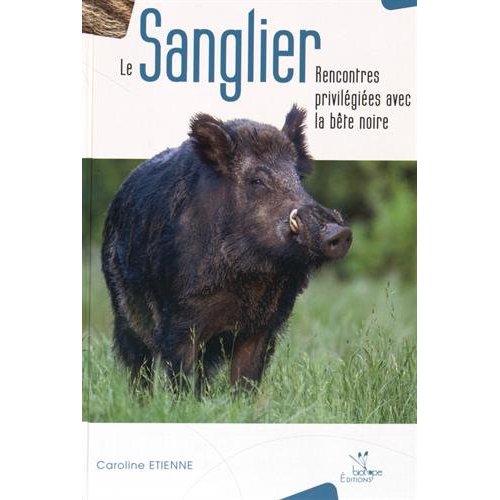 LE SANGLIER RENCONTRES PRIVILEGIEES AVEC LA BETE NOIRE