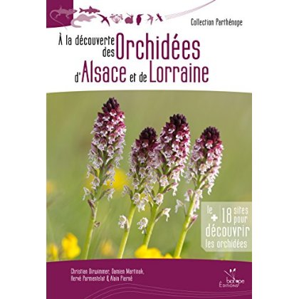 A LA DECOUVERTE DES ORCHIDEES D'ALSACE ET DE LORRAINE