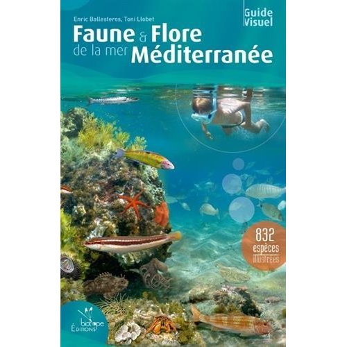 FAUNE & FLORE DE LA MER MEDITERRANEE