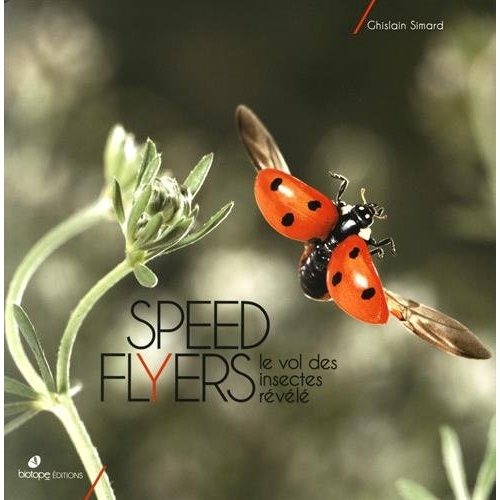 SPEED FLYERS LE VOL DES INSECTES REVELE