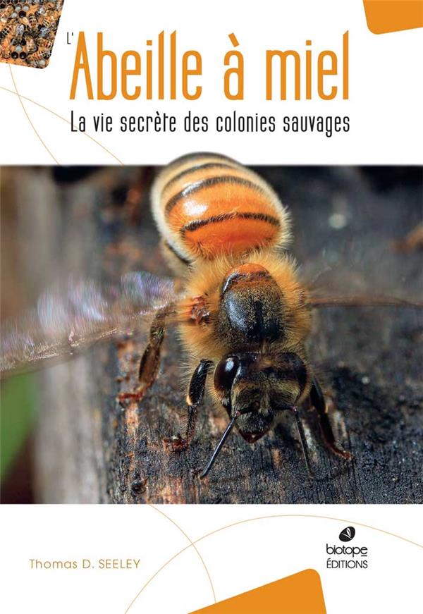 L'ABEILLE A MIEL - LA VIE SECRETE DES COLONIES SAUVAGES