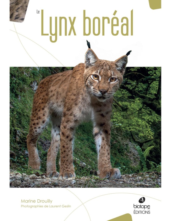 LE LYNX BOREAL
