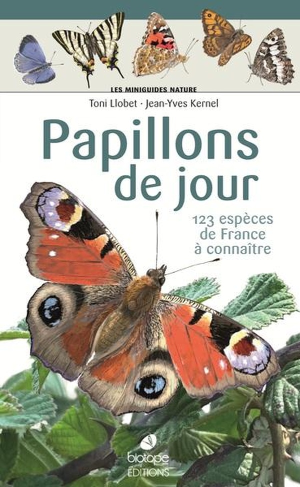 LES MINIGUIDES NATURE - PAPILLONS DIURNES DE FRANCE - 101 ESPECES A CONNAITRE