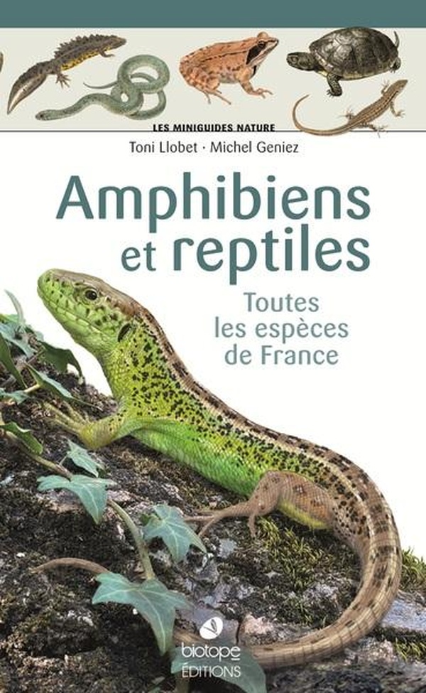 LES MINIGUIDES NATURE - AMPHIBIENS ET REPTILES DE FRANCE - TOUTES LES ESPECES