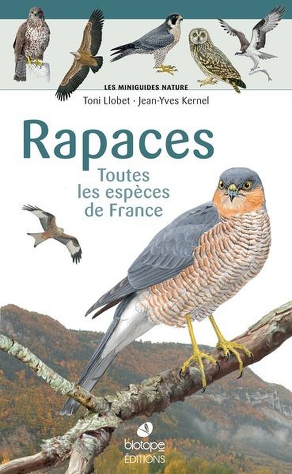LES MINIGUIDES NATURE - RAPACES DE FRANCE - TOUTES LES ESPECES