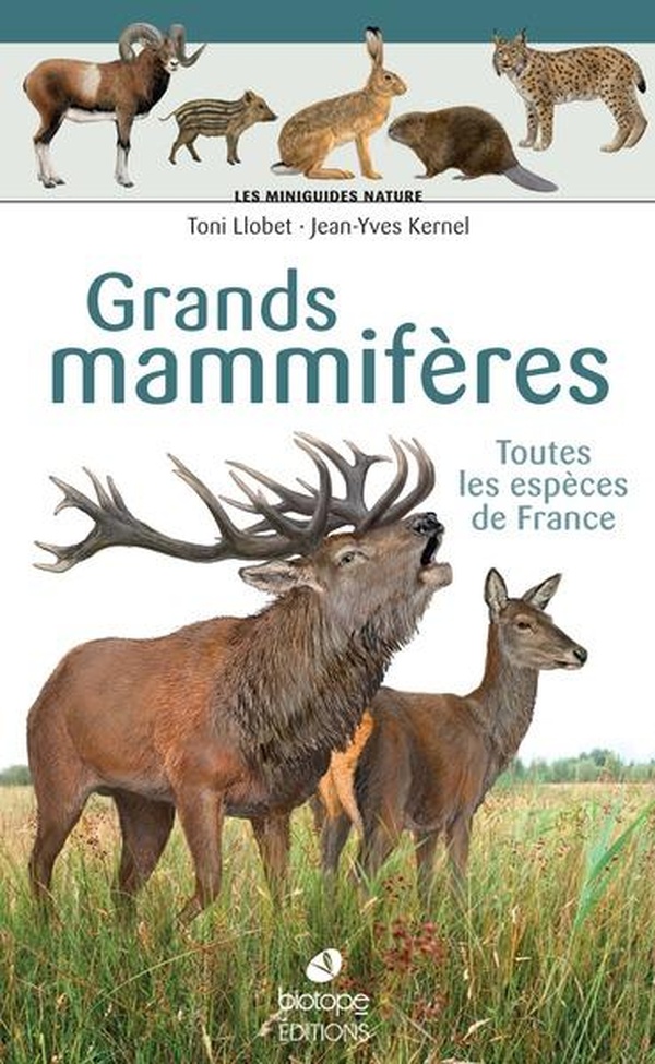 LES MINIGUIDES NATURE - GRANDS MAMMIFERES TERRESTRES DE FRANCE - TOUTES LES ESPECES