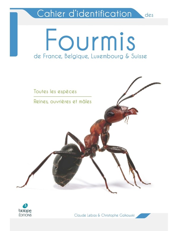 CAHIER D'IDENTIFICATION DES FOURMIS DE FRANCE, BELGIQUE, LUXEMBOURG ET SUISSE - TOUTES LES ESPECES -