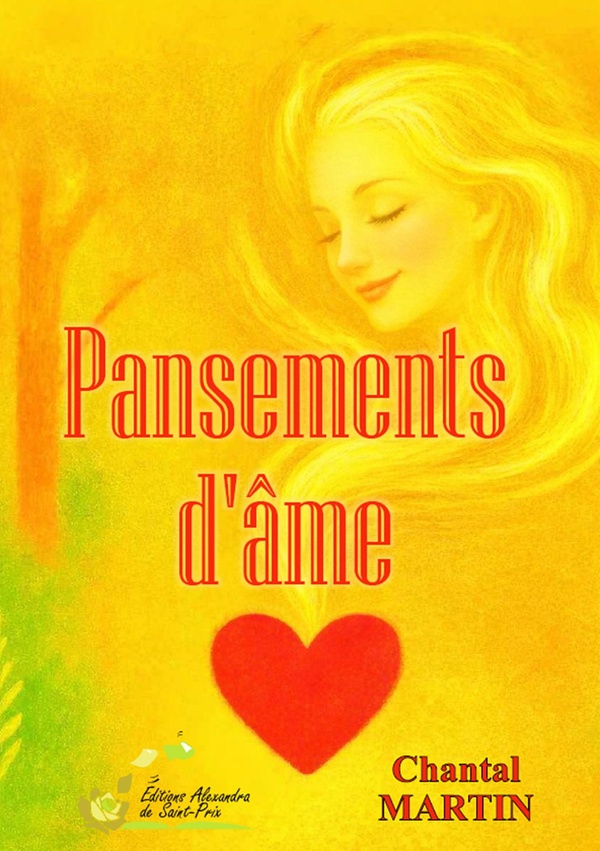 PANSEMENTS D'AME