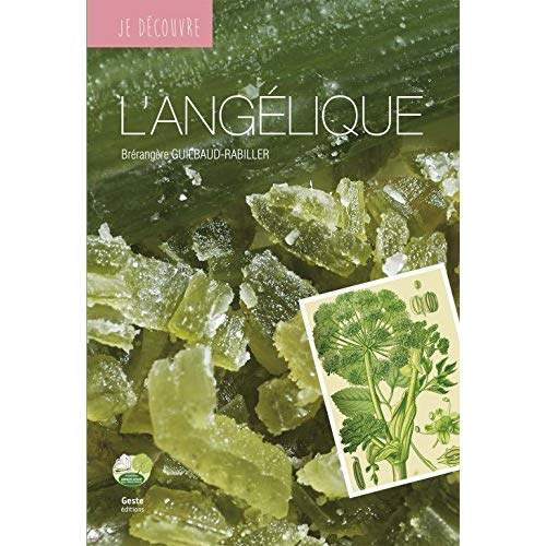JE DECOUVRE L'ANGELIQUE