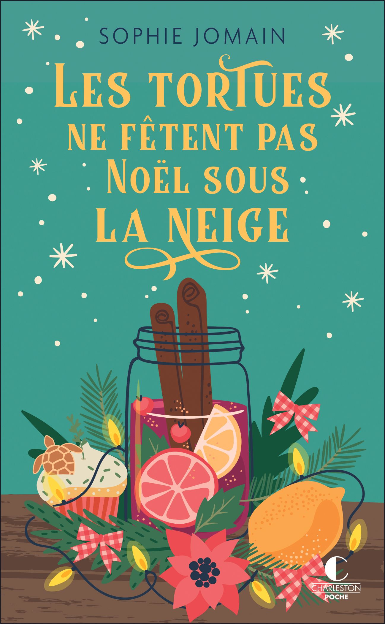LES TORTUES NE FETENT PAS NOEL SOUS LA NEIGE