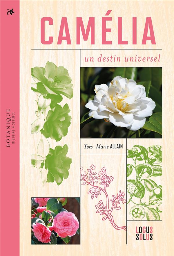 CAMELIA. UN DESTIN UNIVERSEL