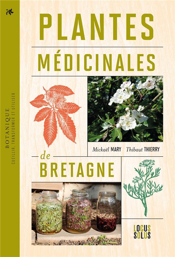 PLANTES MEDICINALES DE BRETAGNE. CUEILLIR, TRANSFORMER ET UTILISER