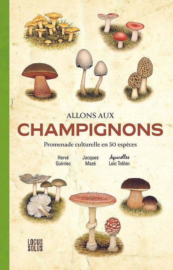 ALLONS AUX CHAMPIGNONS. PROMENADE CULTURELLE EN 50 ESPECES