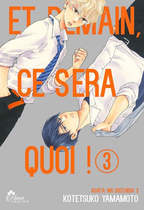 ET DEMAIN CE SERA QUOI ! - TOME 03 - LIVRE (MANGA) - YAOI - HANA COLLECTION