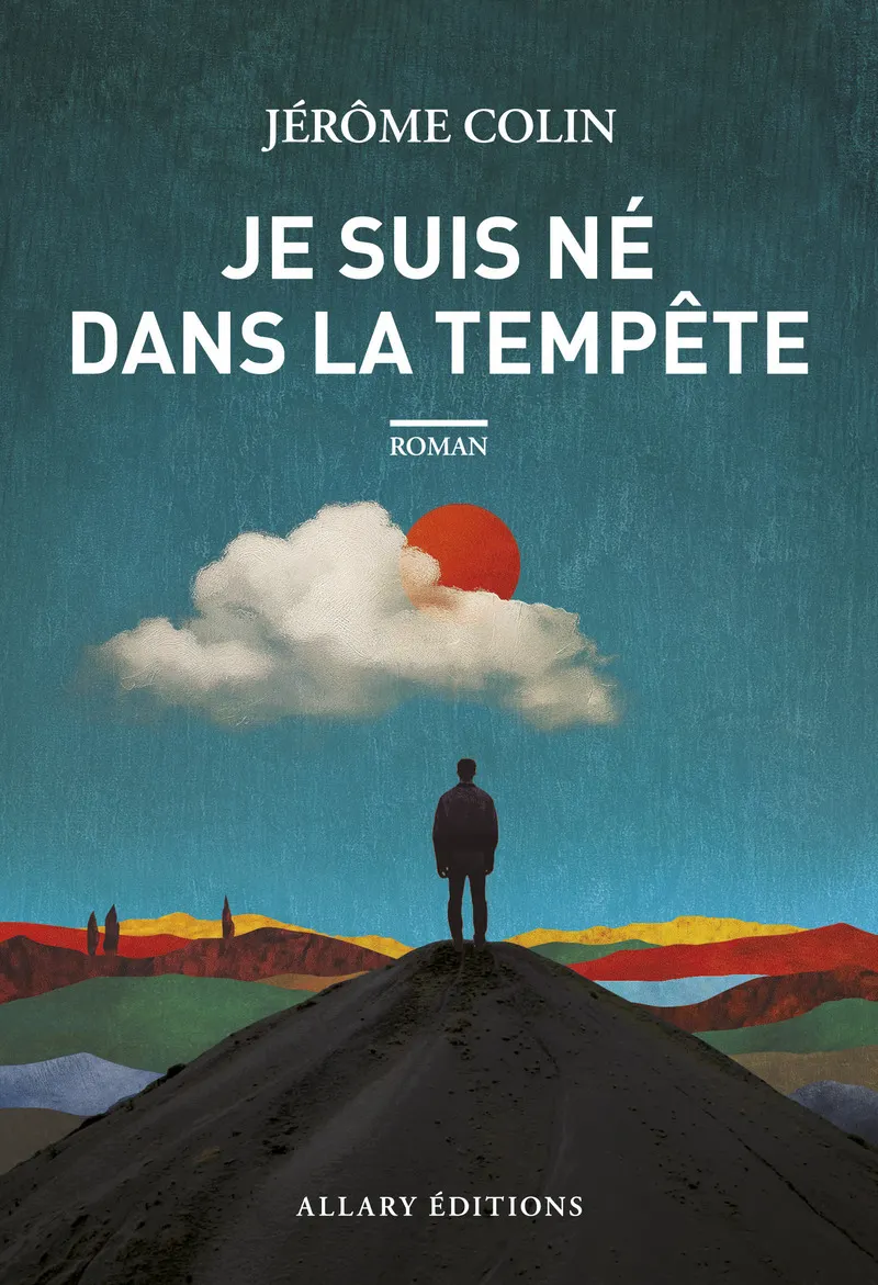 couverture du livre JE SUIS NE DANS LA TEMPETE