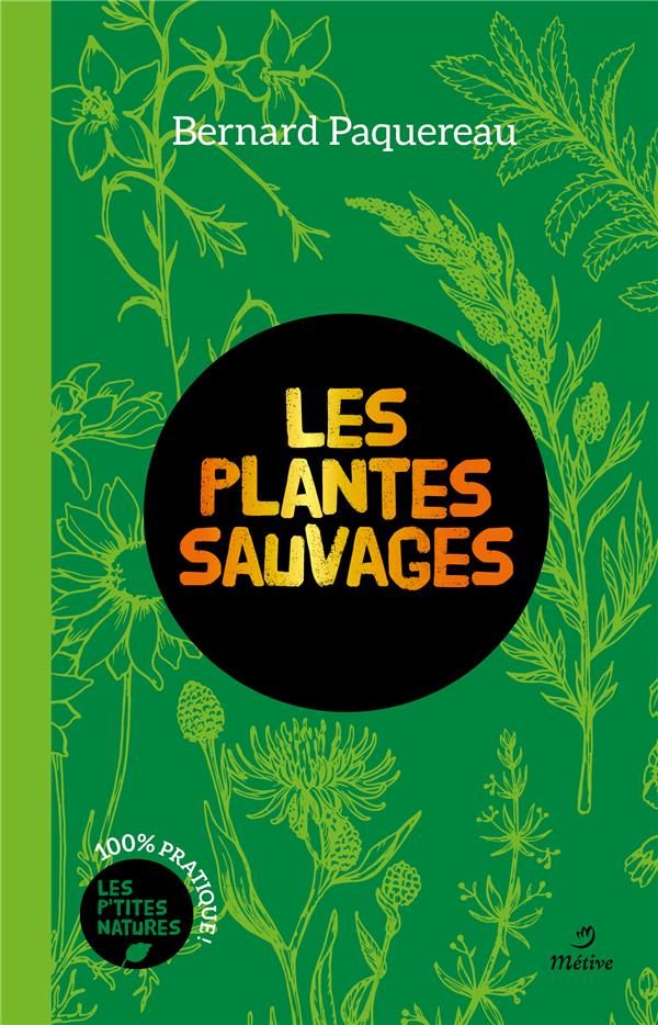 PLANTES SAUVAGES (COLL. LES P'TITES NATURES) (DI) (BP)