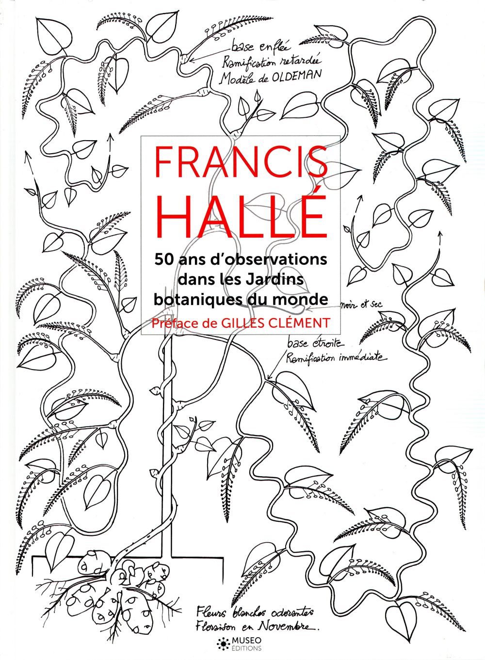 FRANCIS HALLE - TOME 2 - 50 ANS D'OBSERVATION DANS LES JARDINS BOTANIQUES DANS LE MONDE.