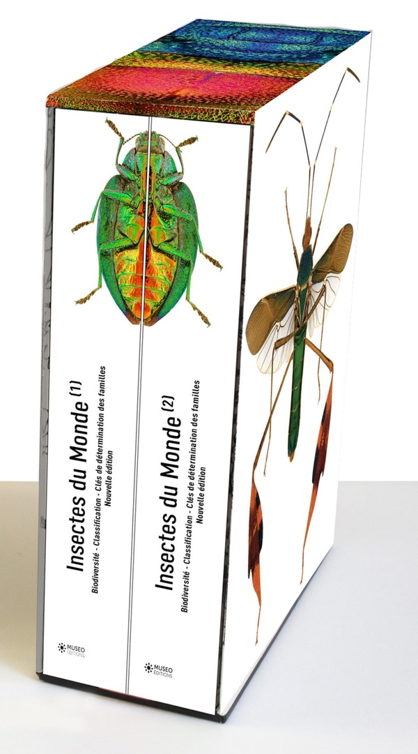 INSECTES DU MONDE NOUVELLE EDITION - BIODIVERSITE - CLASSIFICATION - CLES DE DETERMINATION DES FAMIL