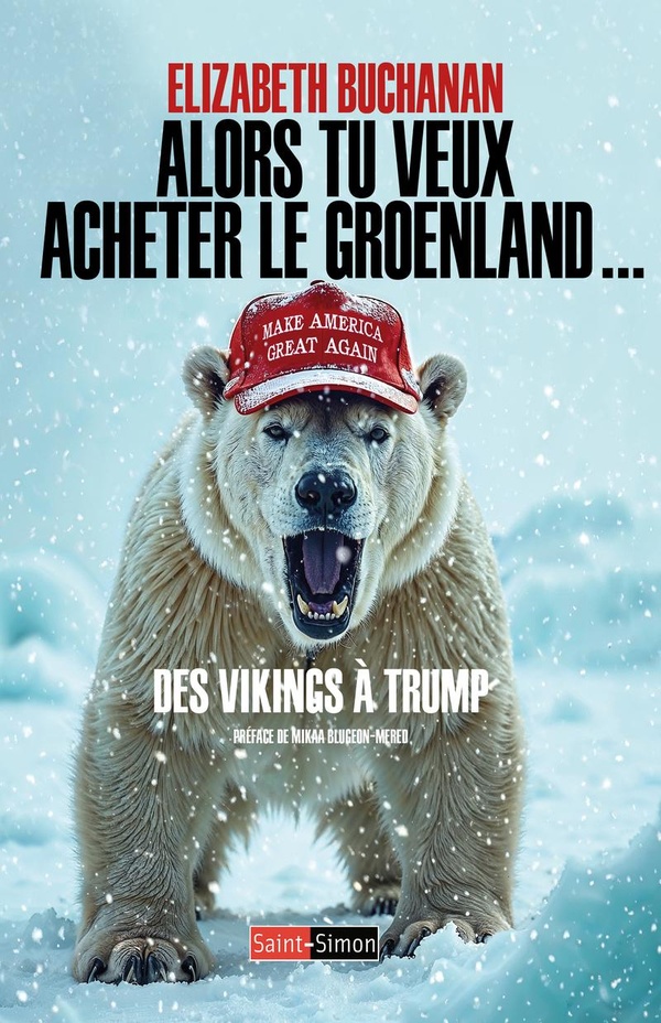 ALORS TU VEUX ACHETER LE GROENLAND ! - DES VIKINGS A TRUMP