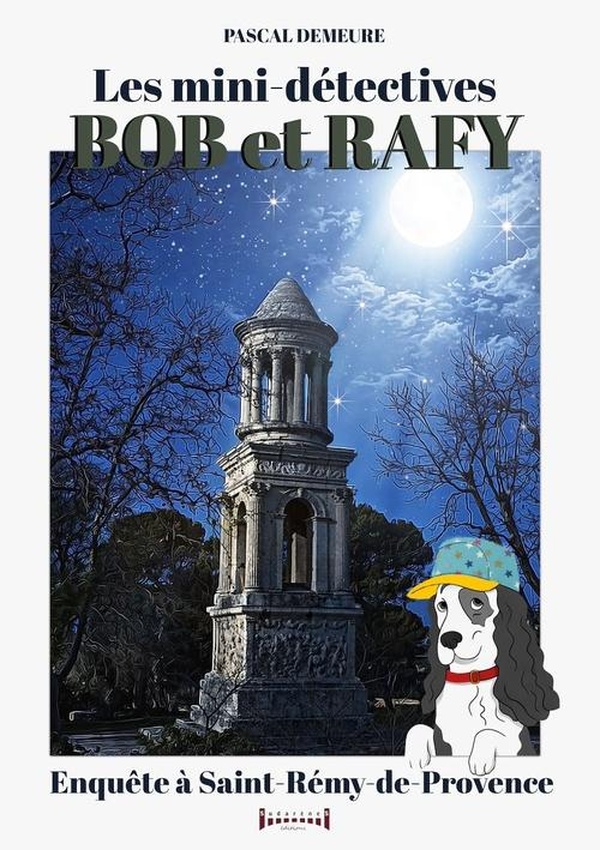 BOB ET RAFY - ENQUETE A SAINT REMY DE PROVEN