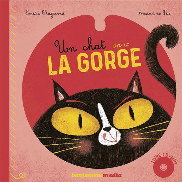 UN CHAT DANS LA GORGE - LIVRE CD / MP3 / BRAILLE / GROS CARA