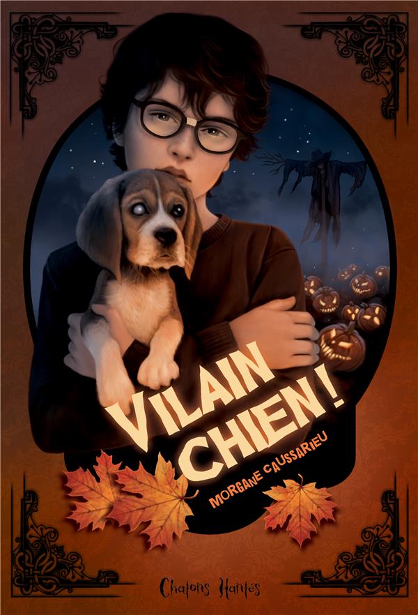 VILAIN CHIEN !