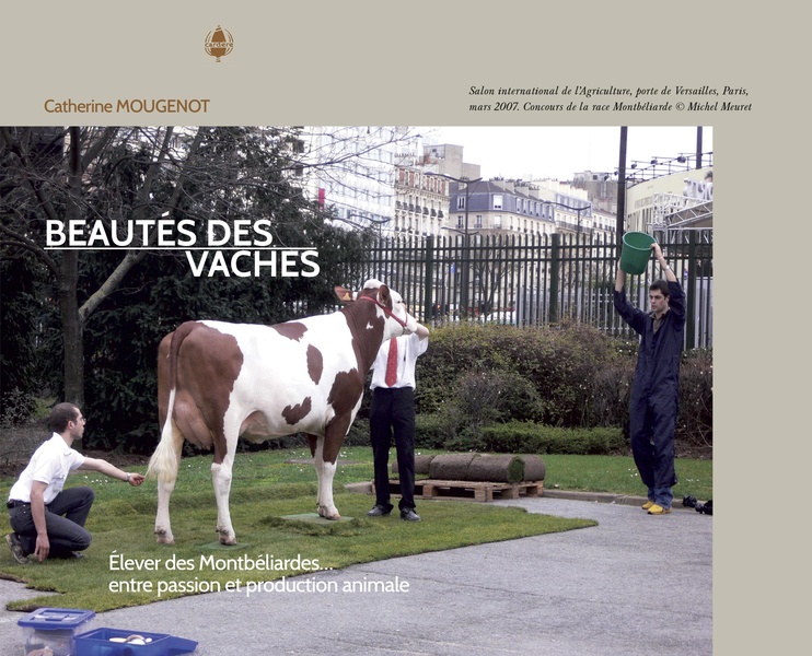 BEAUTES DES VACHES - ELEVER DES MONTBALIARDES ENTRE PASSION ET PRODUCTION ANIMALE