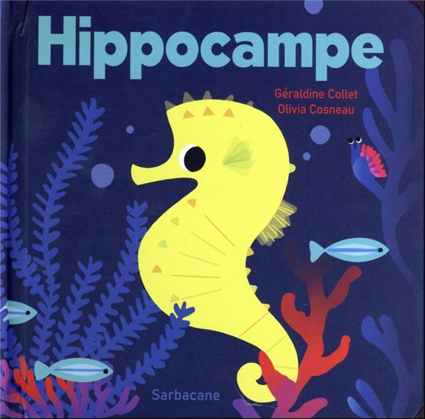 HIPPOCAMPE