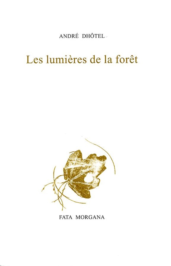 LES LUMIERES DE LA FORET