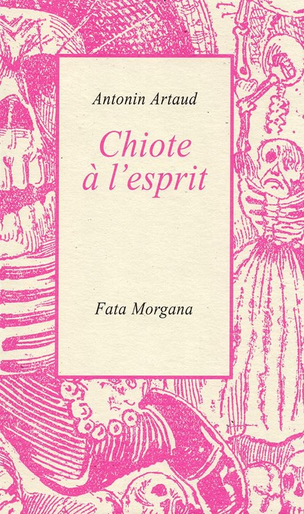 CHIOTE A L'ESPRIT