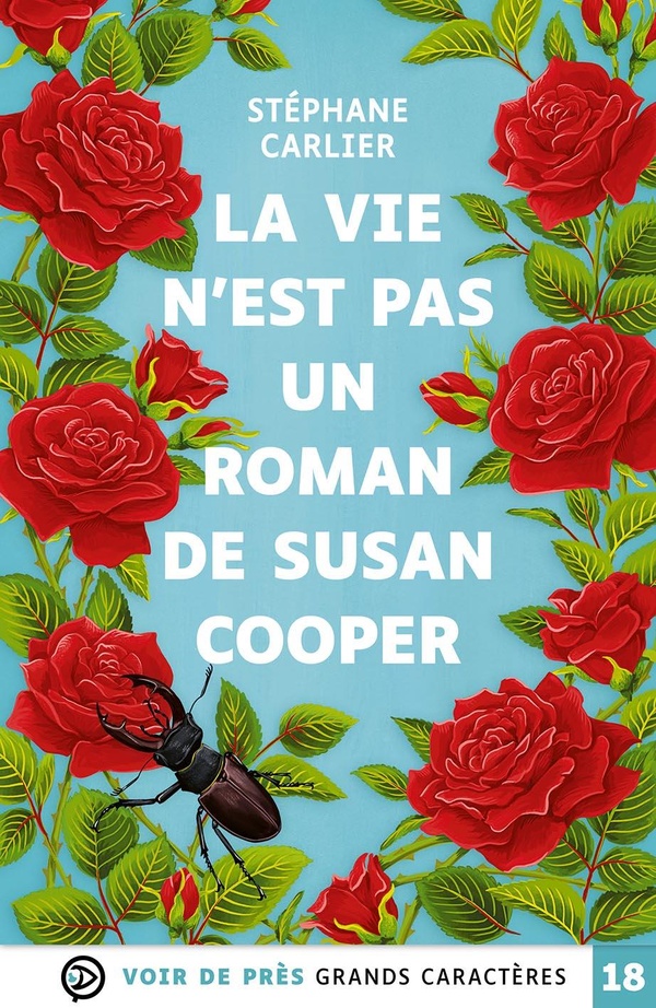 LA VIE N'EST PAS UN ROMAN DE SUSAN COOPER - GRANDS CARACTERES, EDITION ACCESSIBLE POUR LES MALVOYANT