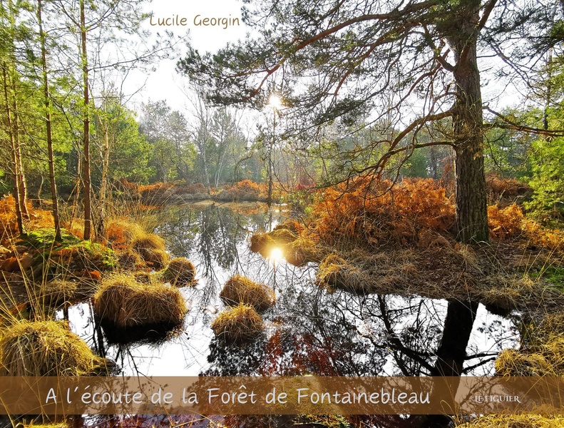 A L'ECOUTE DE LA FORET DE FONTAINEBLEAU