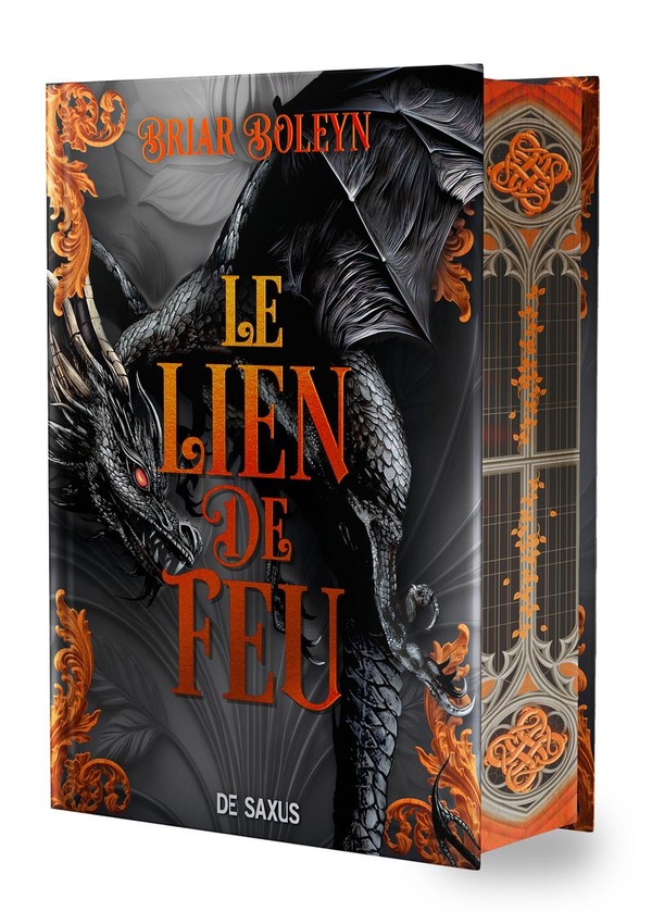 LE LIEN DE FEU (RELIE) - TOME 02 L'ACADEMIE DU SANG AILE - VOL02