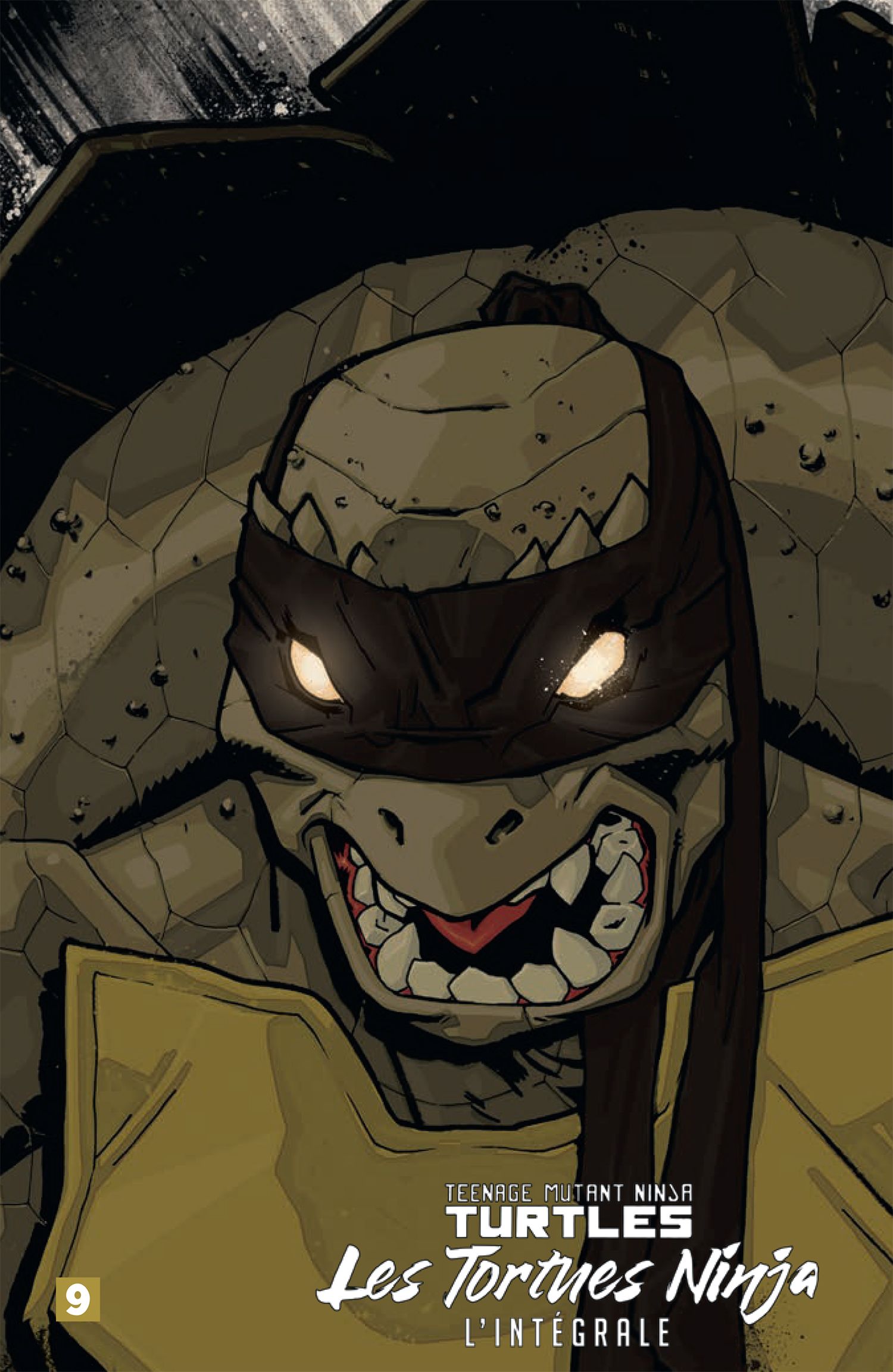 LES TORTUES NINJA - TMNT : L'INTEGRALE T9