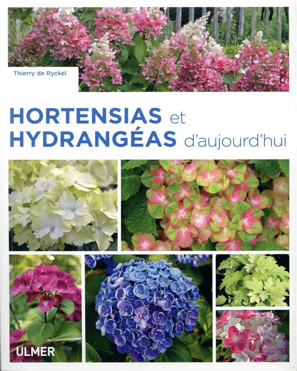 HORTENSIAS ET HYDRANGEAS D'AUJOURD'HUI