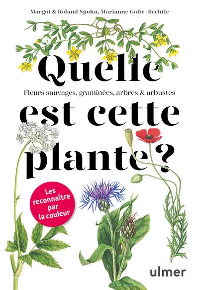 QUELLE EST CETTE PLANTE ?