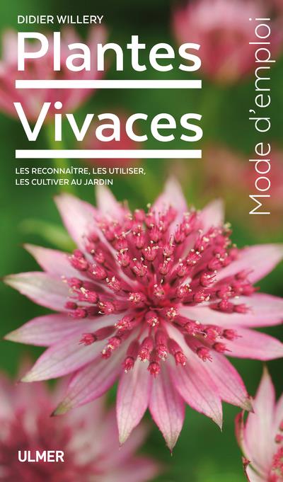PLANTES VIVACES
