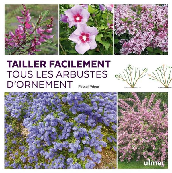 TAILLER FACILEMENT TOUS LES ARBUSTES D'ORNEMENT